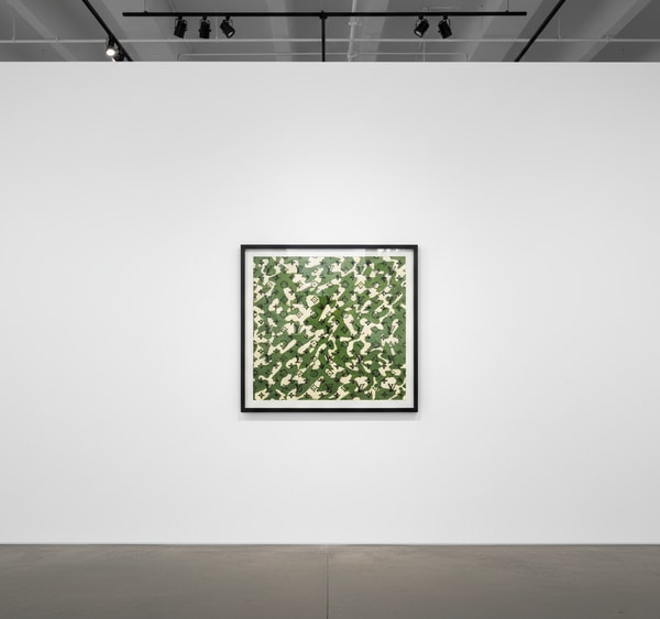 Monogramouflage (green)