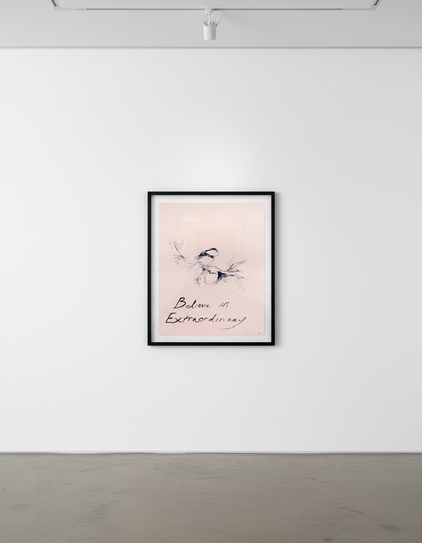 Tracey Emin - Believe In Extraordinary, 2015