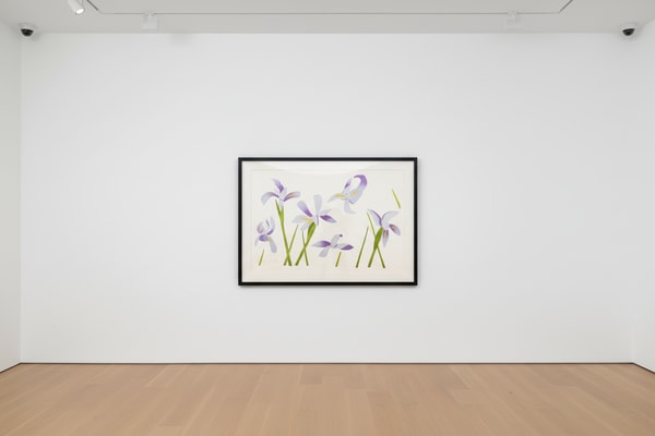 Alex Katz - Blue Flags, 2014