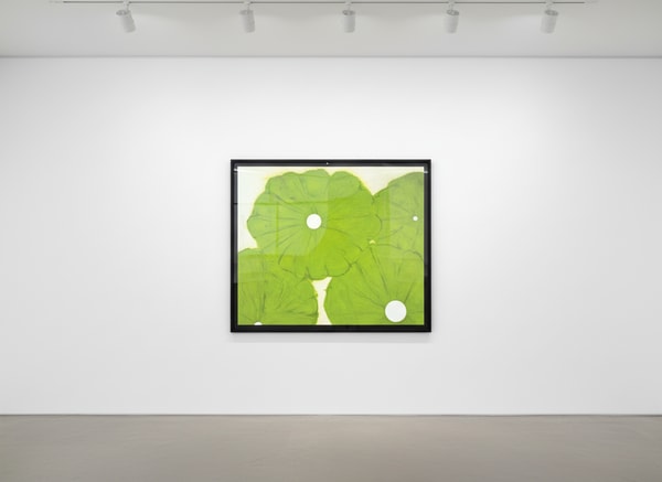 Donald Sultan - Four Green Poppies April 24, 2024