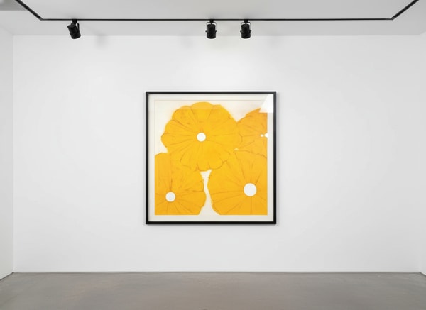 Donald Sultan - Four Yellow Poppies April 24, 2024