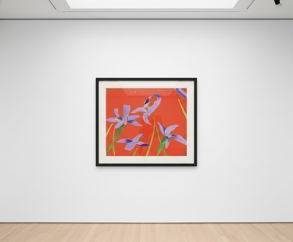 Alex Katz - Purple Irises on Red, 2023, Archival pigment ink print, on Innova Etching Cotton Rag 315 gsm