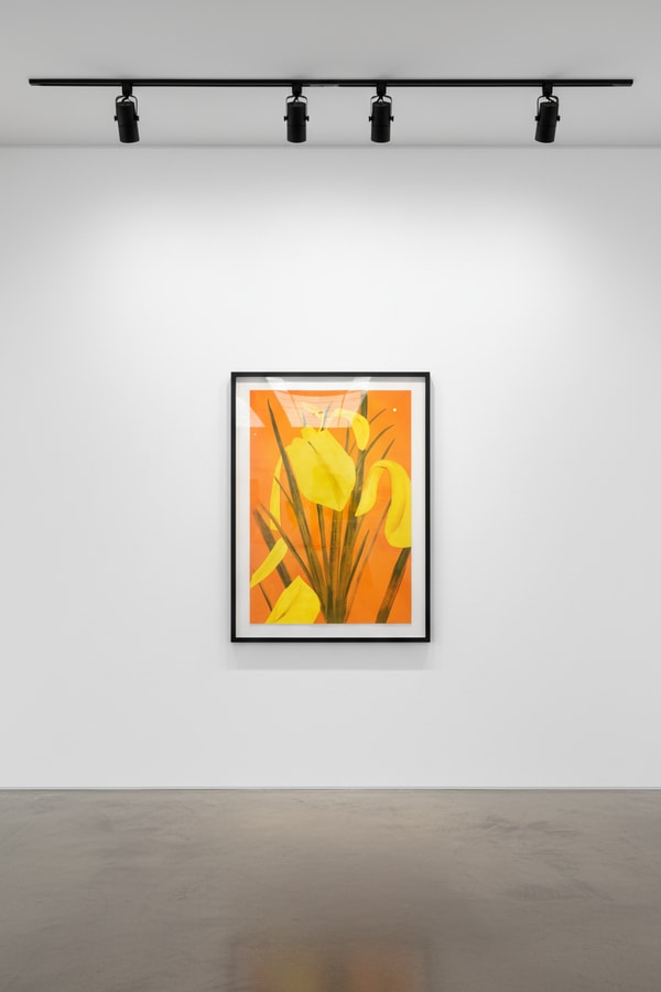 Alex Katz - Yellow Flags 4, 2020, Photo etching, photo-gravure, and aquatint in five colors on Somerset Satin