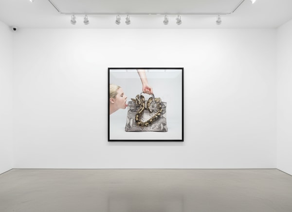 Tyler Shields - Birkin Bite, 2016