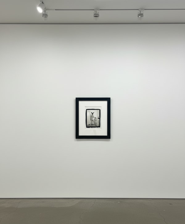 Bunny in the Kitchen