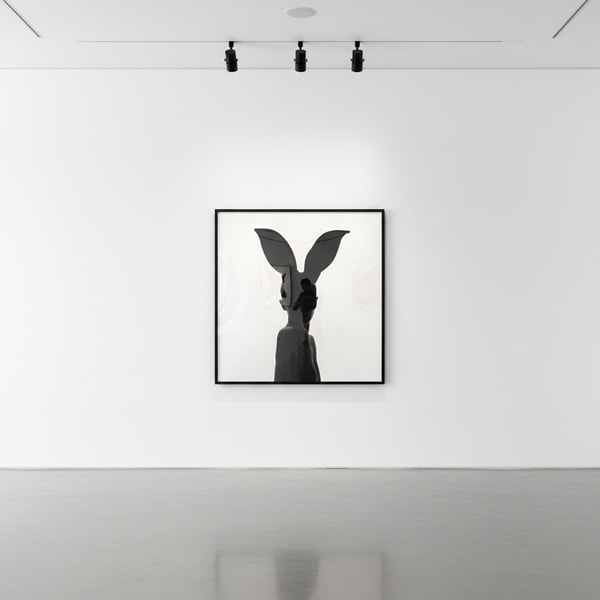 Tyler Shields - Bunny Silhouette, 2020