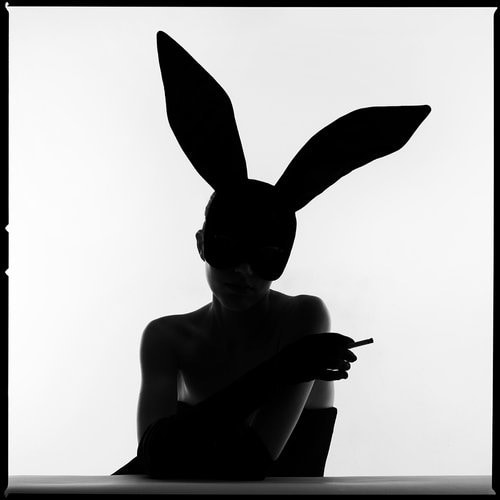 Tyler Shields - Bunny Silhouette Smoke, 2022