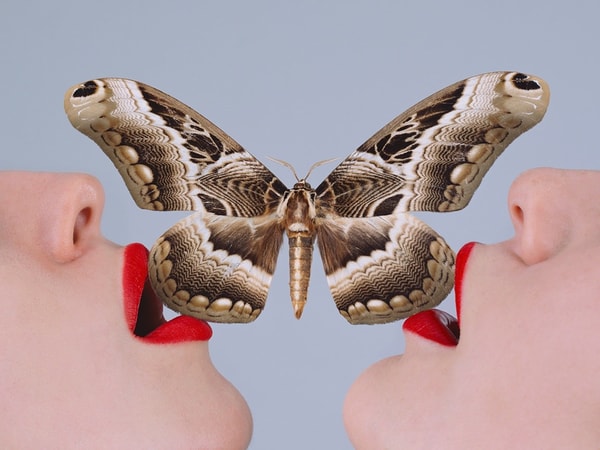 Tyler Shields - Butterfly, 2018