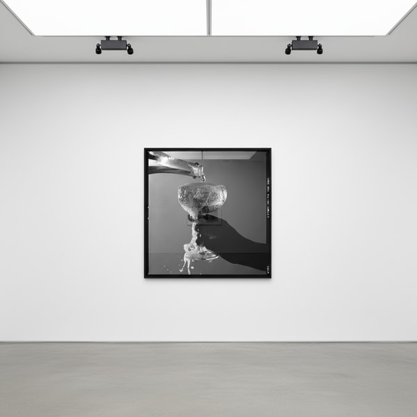 Tyler Shields - Champagne, 2019