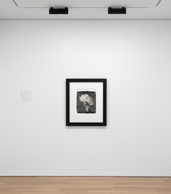 Tyler Shields - Flower Girl, 2021