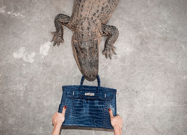 Tyler Shields - Gator Birkin II, 2012