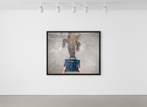 Tyler Shields - Gator Birkin II, 2012, Digital c print