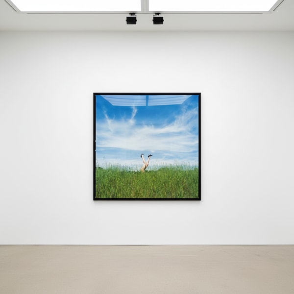 Tyler Shields - Legs in the Tall Grass, 2023, Digital C Print