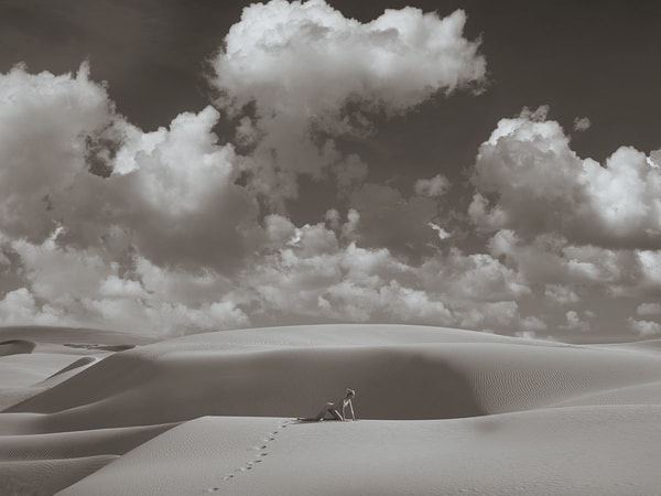 Tyler Shields - Lioness, 2020