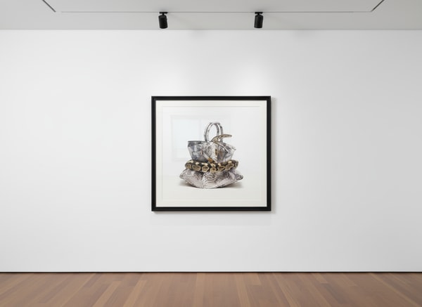Tyler Shields - Python Birkin, 2012, Digital c print