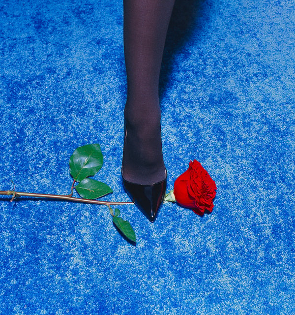 Tyler Shields - Red Rose, 2024