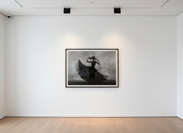 Tyler Shields - The Mystery of the Borrowed Dress, 2021, Digital c print