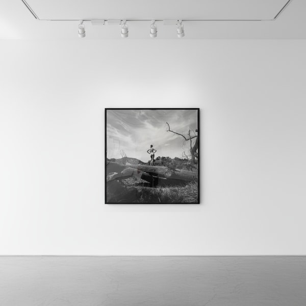 Tyler Shields - The Tree Trunk, 2023, Digital c print