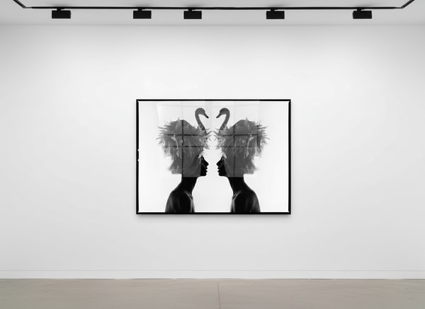 Tyler Shields - The Two Swans, 2022, Digital c print