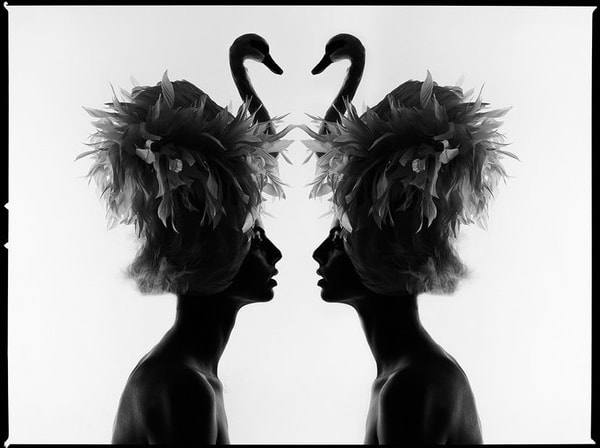 Tyler Shields - The Two Swans, 2022