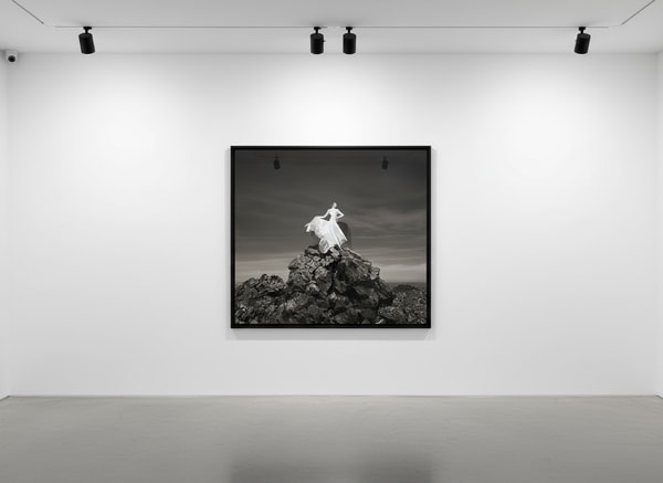 Tyler Shields - Top of the World, 2021, Digital c print