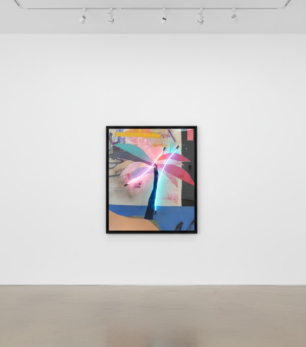 Vincent Chung - Lavender and Velvet, 2018