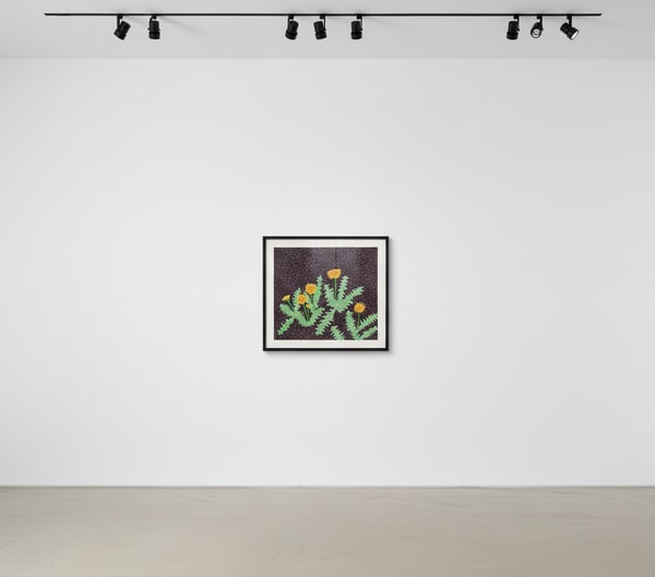 Yayoi Kusama - Dandelions, 1985