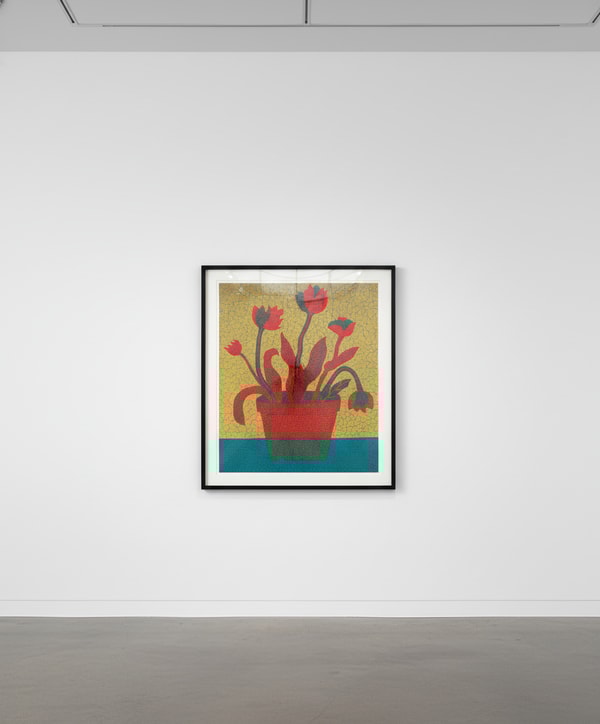 Yayoi Kusama - Flowers C, 2005