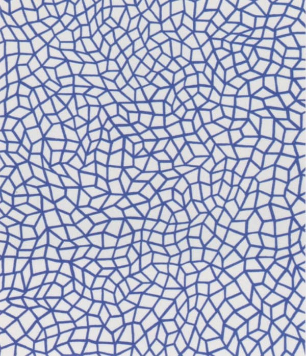Yayoi Kusama - Infinity Nets (26)