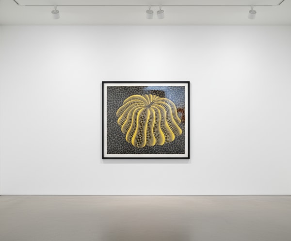 Yayoi Kusama - Napping Pumpkin, 1993