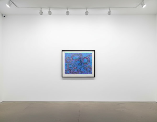 Petals are Soaring into the Air