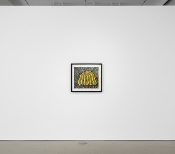 Yayoi Kusama - Pumpkin BB-C, 2004