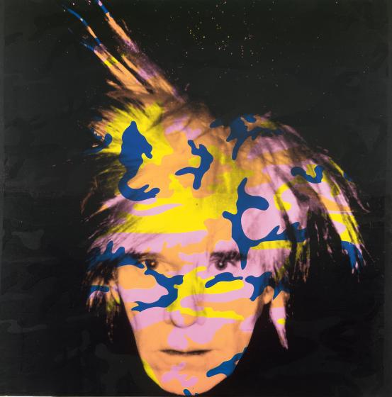 The Intriguing World of Andy Warhol Camouflage Artworks