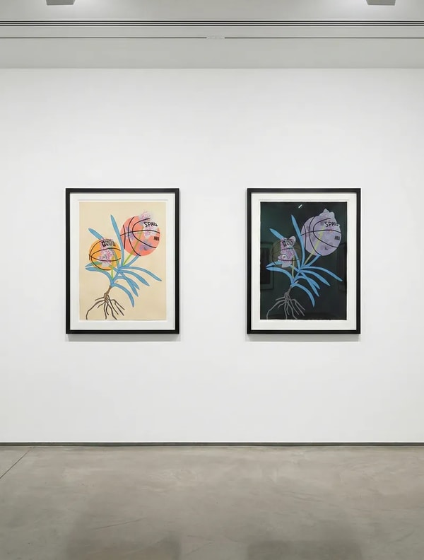 Jonas Wood Basketballs: A Guide