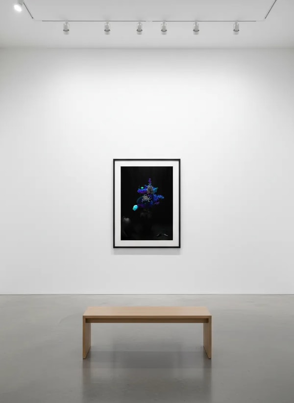 Sebastian Magnani: Coming Home