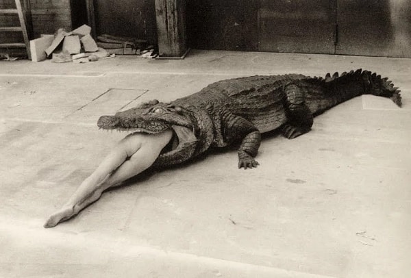 Helmut Newton x Tyler Shields