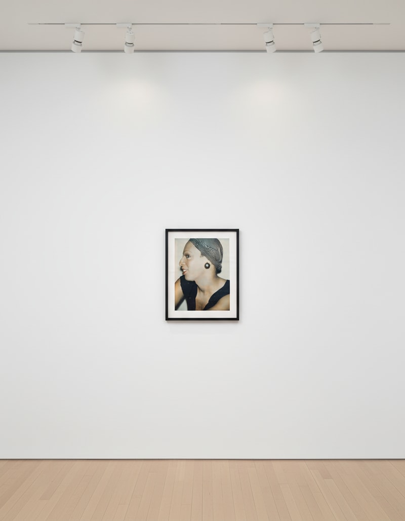 Andy Warhol Ladies and Gentlemen