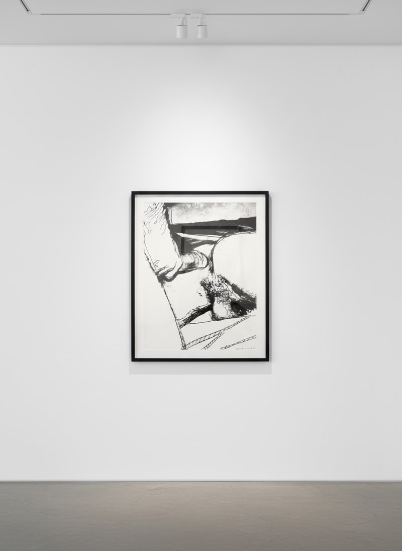 Andy Warhol Sex Parts