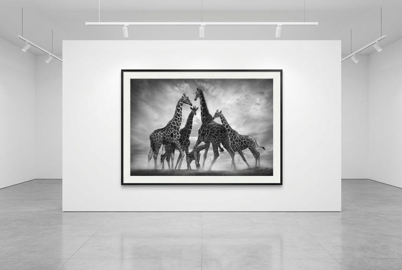 Björn persson Photographs