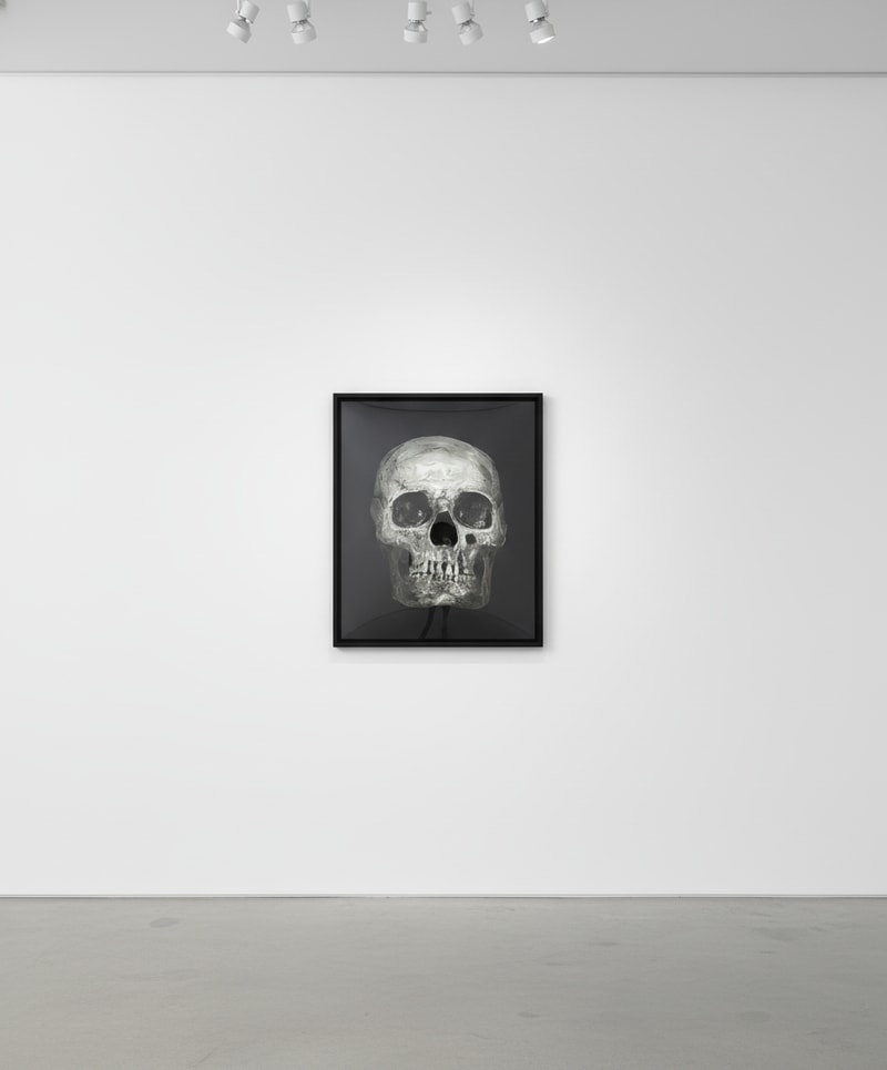 Damien Hirst Skulls