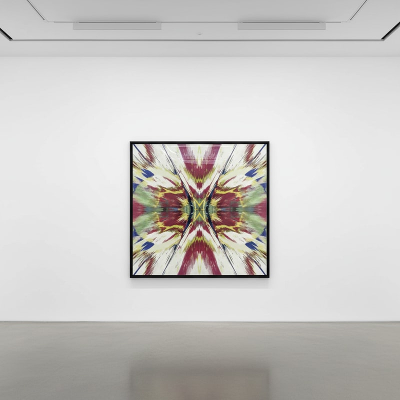 Damien Hirst H1 - Enter the Infinite