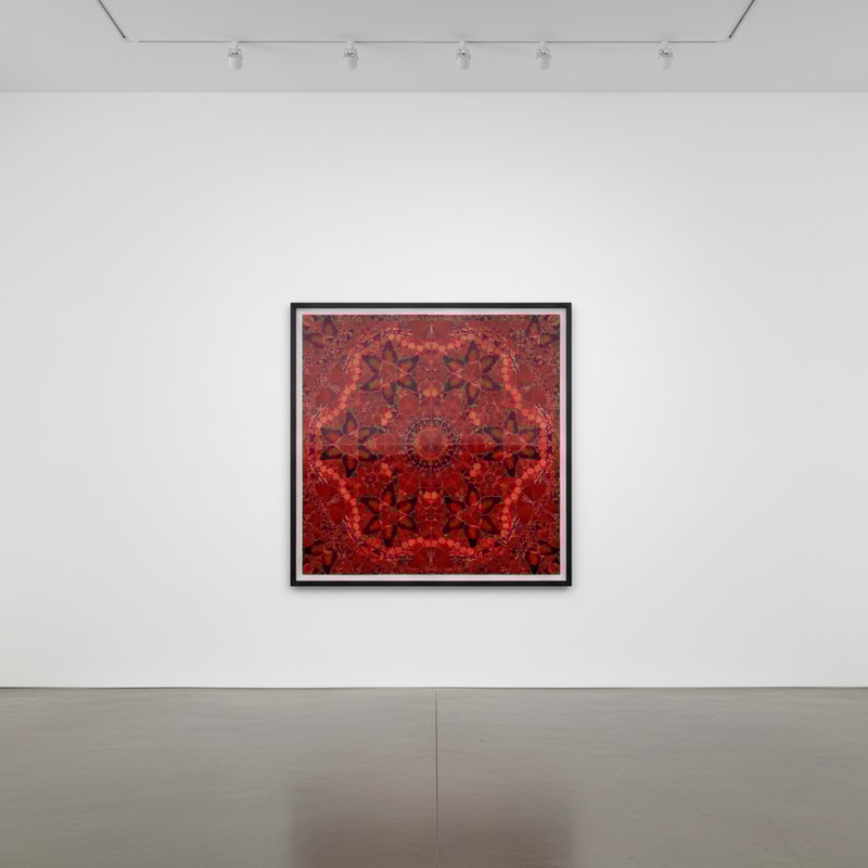 Damien Hirst H10 - the Empresses