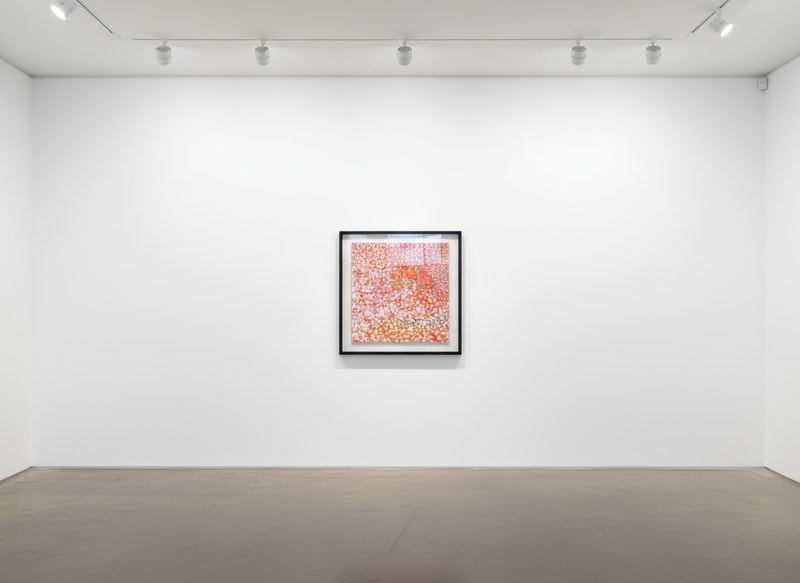 Damien Hirst H4 - Veil Spots