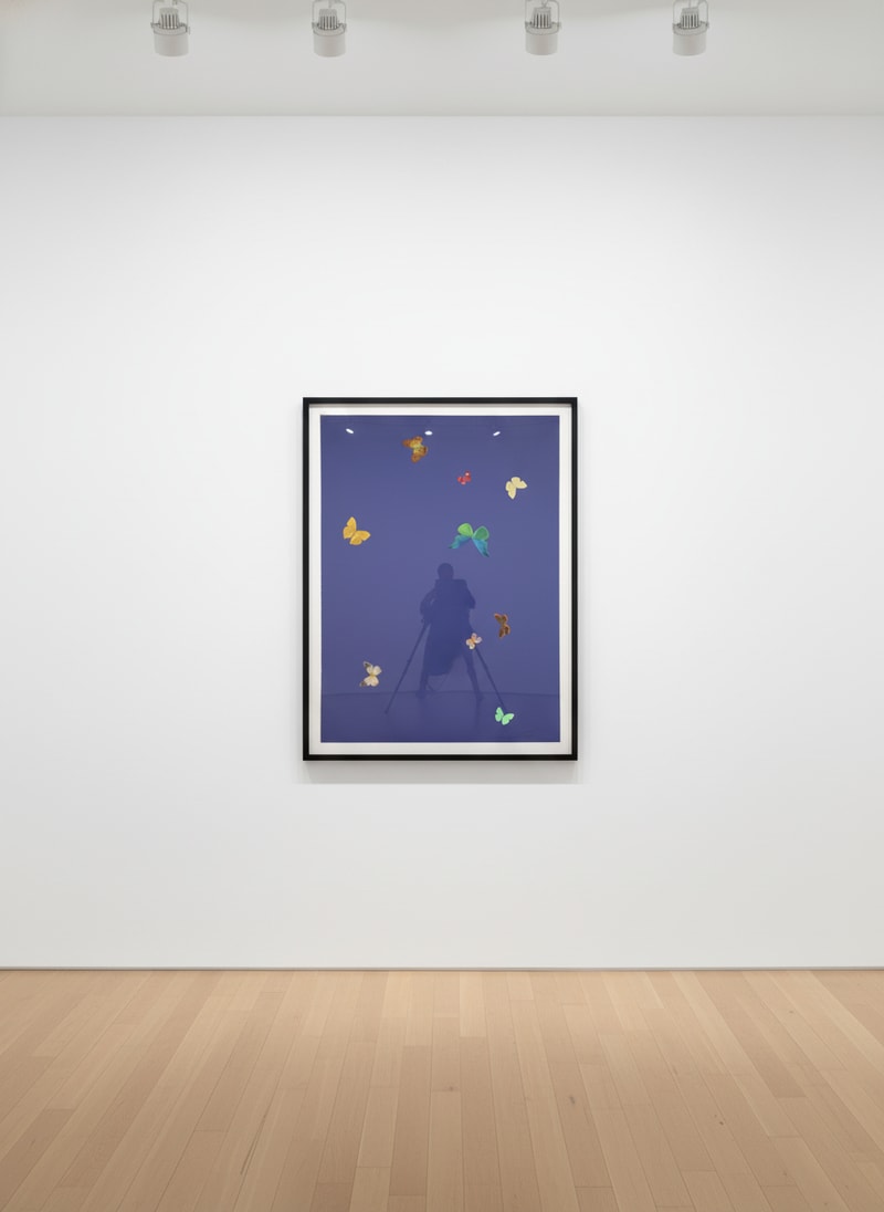 Damien Hirst The Wonder of You