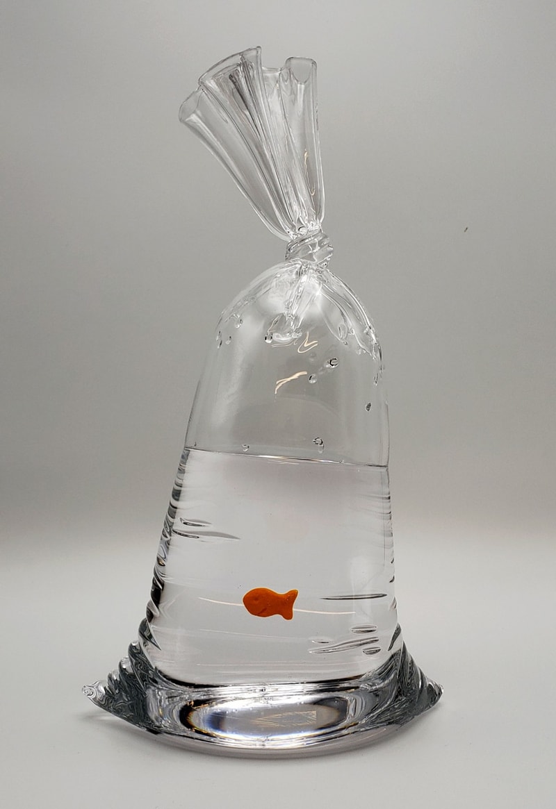 Dylan Martinez Goldfish Cracker Water Bags