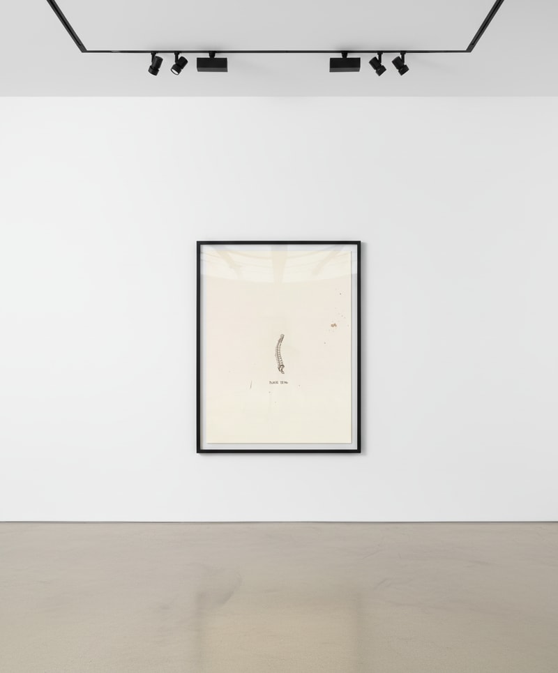 Jean-Michel Basquiat Untitled (From Leonardo)