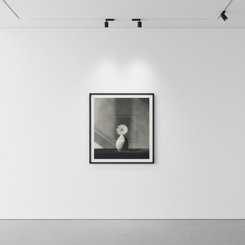 Robert Mapplethorpe Flowers